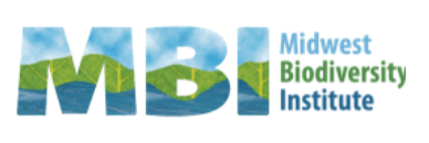 MBI